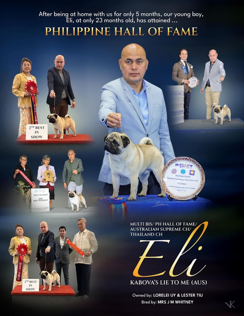 Promotional poster of Eli